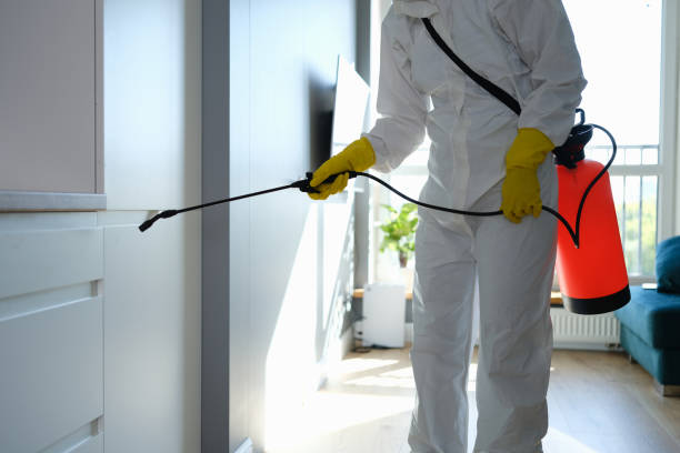 Best Mold Removal Specialists  in Ricardo, TX