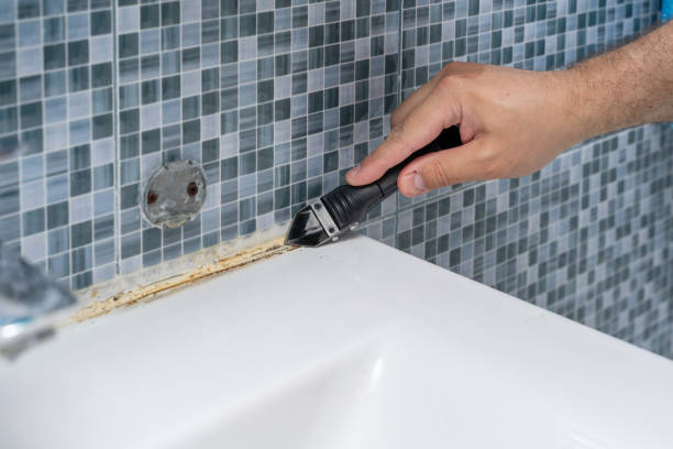 Best Best Mold Removal Companies  in Ricardo, TX