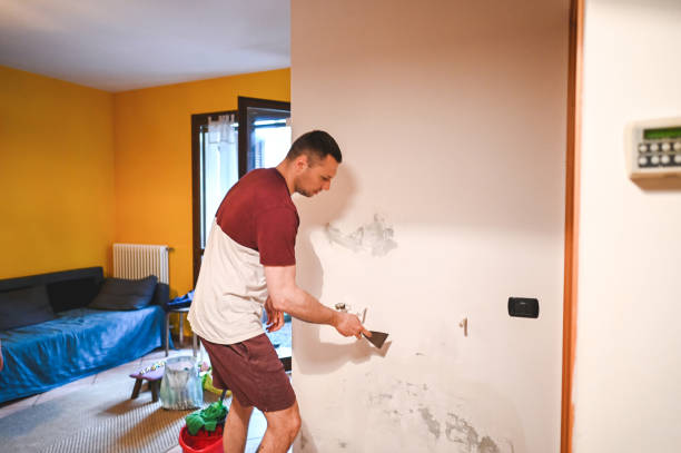 Best Certified Mold Removal  in Ricardo, TX