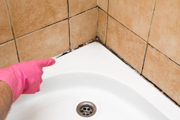Best Residential Mold Removal  in Ricardo, TX
